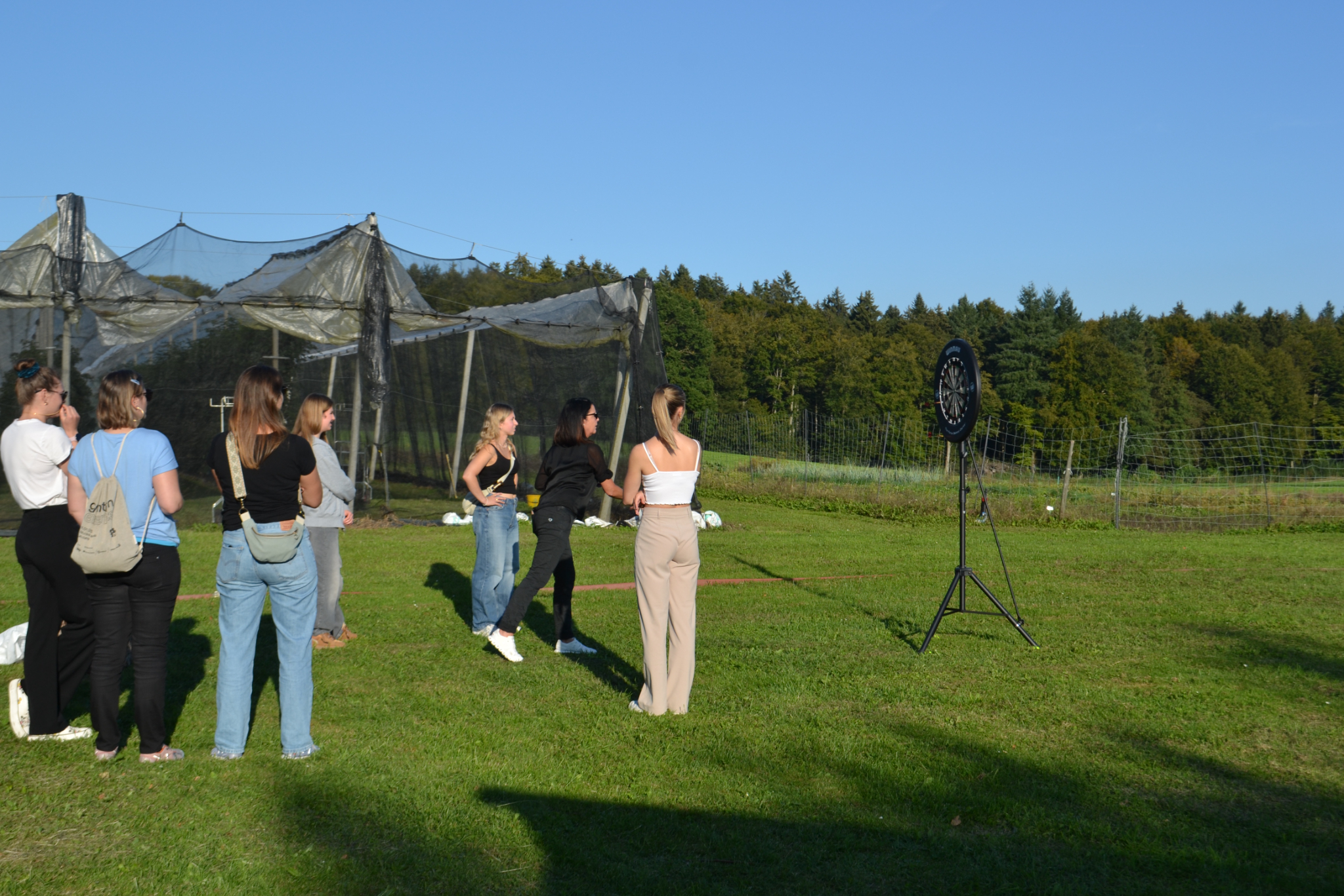 Bild (64)